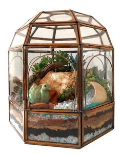 Conception de terrarium en métal et en verre pour le salon moderne, grand terrarium de qualité supérieure au design standard pour les meilleures ventes - Product Image 3