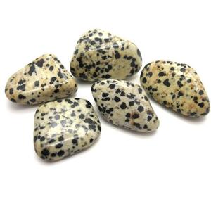 Jaspe dálmata de la mejor calidad, piedra caída pulida, piedra curativa semipreciosa a granel, artesanía - Product Image 4