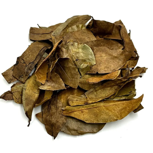 HOJAS SOURSOP SECAS 100 POR CIENTO NATURAL DE VIETNAM - Product Image 4