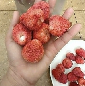 Fresa Liofilizada de Vietnam Hecha con Rodajas de Fresa Seleccionadas para Producción de Refrigerios, Ingredientes para Hornear, Suministro al por Mayor - Product Image 4