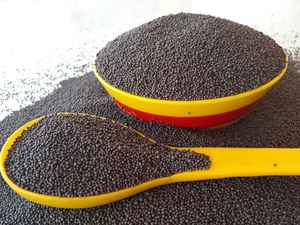 Graines de moutarde naturelles séchées AD, les plus vendues, nettoyées et triées, qualité alimentaire, épice pour la cuisine et le broyage MEGH EXIM 1000kg - Product Image 5