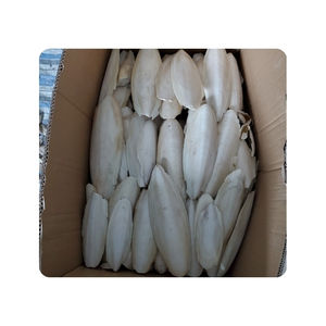 Prêt à expédier : Os de seiche pour projets de moulage urgents et calcium pur et durable pour la logistique professionnelle des fournitures pour animaux de compagnie - Product Image 4