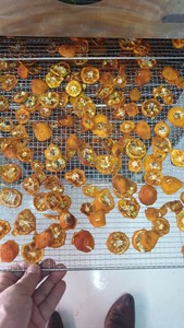 Casse-croûte exotique sain de Kumquat séché de qualité supérieure du Vietnam Offre Spéciale vente en gros à faible coût - Product Image 5