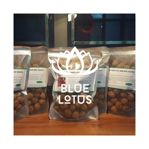 MEILLEUR VENDEUR Fruit de litchi séché biologique en vrac Snack sucré sain Vente chaude de l'exportation du Vietnam - Product Image 1