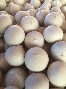 Coco Entero Pulido Premium - Seleccionado a Mano y Limpio a Máquina - Product Image 3