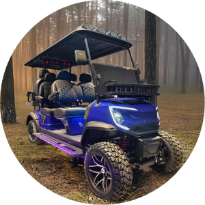 Transport City Petite télécommande 36V Unique Luxe 4 + 2 places Mini voiturette de golf électrique - Product Image 4