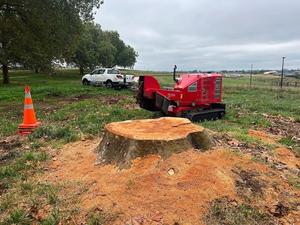 FSI D74 <b>Tracked</b> Forestry Machinery 15hp PTO Power Source Used Condition with Remote Stump Grinder 1 Year Warranty - Product Image 6