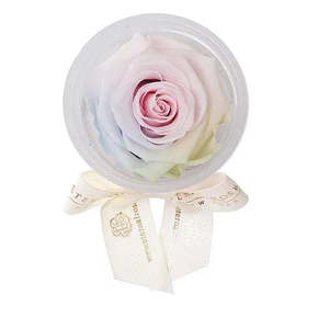 Rosa Eterna, Artículos Personalizados para Fiestas, Recuerdos Personalizados para Tu Ocasión Especial - Product Image 3