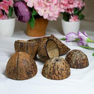 กะลามะพร้าวธรรมชาติทำมือสำหรับงานฝีมือและของตกแต่ง ชามเปลือกมะพร้าวแห้งธรรมชาติ ชามธรรมชาติ ขายส่ง ภาชนะบนโต๊ะอาหารที่ยั่งยืน - Product Image 3