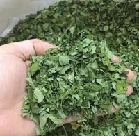 Minyak Ekstrak Herbal Daun Moringa Oleifera Organik, Dikeringkan dengan Udara Panas dalam Wadah Plastik, Kualitas Makanan Sehat