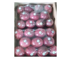 ผู้จัดจำหน่ายเสาวรสสดคุณภาพสูงจากเวียดนาม - ผลไม้ทั้งลูกสำหรับตลาดสดและการผลิตเครื่องดื่ม - Product Image 2