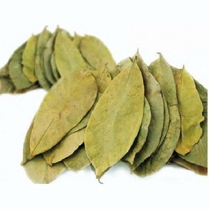 Venta al por mayor de hojas secas de Guanábana para té, suministro a granel de Hojas de Guanábana de Graviola, té a la venta, hojas orgánicas de Guanábana - Product Image 2