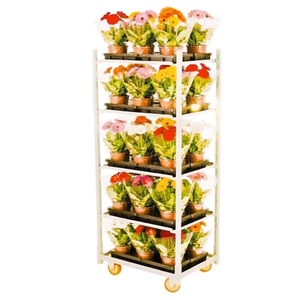 Carretilla de Mano con Estructura de Acero Cerrada, Capacidad de 500 kg, con Cuatro Ruedas - Product Image 3