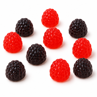 Bonbons Gélifiés Framboise Mûre en Gros Personnalisés OEM ODM Halal Saveurs Assorties Fruitées Douces et Acidulées TIK TOK