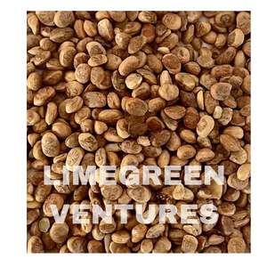 Proveedor mayorista de semillas Chironji | Semillas de nueces de charoli de calidad de exportación India (Cuddapah) | Marca de doble lengua | Estante de 12 meses - Product Image 3