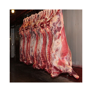 Carcasse d'agneau naturelle congelée de qualité supérieure, emballage en vrac, procédé IQF, 500 MT, origine Afrique du Sud, durée de conservation 1 an, précommande - Product Image 4