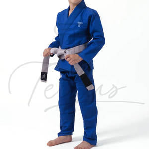 Nouveauté : Uniforme de karaté pour garçons, tissu 300g, respirant, vêtements d'arts martiaux pour la vente en gros - Product Image 1