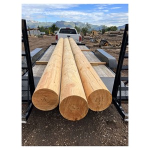 Round <b>Logs</b> for Export Premium Hardwood, Strong and Long-Lasting - Product Image 1