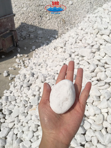 Catégorie de Produits Carreaux de mosaïque de galets en pierre naturelle pour usage intérieur/extérieur pour les applications de villa - Product Image 3