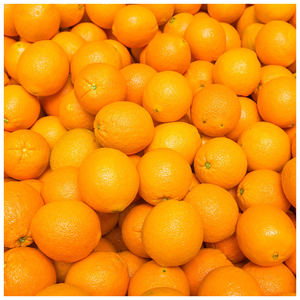 New crop of <b>Fresh</b> Valencia Orange Oranges <b>fruit</b> for wholesale - Product Image 4