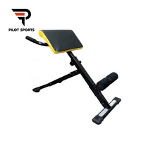 Chaise romaine professionnelle pour l'entraînement des muscles abdominaux et des dorsaux par hyperextension