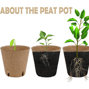 Pots de culture Coco coco - Product Image 2