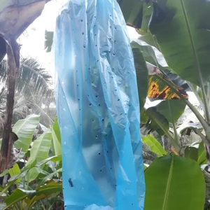 Banana Bunch <b>Shielding</b> PP Plastic for Bags-<b>Heat</b> Seal Protective Sleeves - Product Image 3