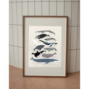 Modern Whale <b>Poster</b> Digital Printed Various Whale Species for Wall Decoration and Home Decor Supports Paper and Canvas - Product Image 3