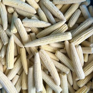 MAÍZ JOVEN CONGELADO NATURAL 100%/GRADO PREMIUM/APTO PARA SECTOR RETAIL Y HORECA - Product Image 6