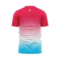 Camisetas Deportivas Unisex Personalizadas OEM ODM de Spandex/Poliéster, Conjuntos de Camisetas sin Costuras con Elasticidad en Cuatro Direcciones, Transpirables, con Impresión por Sublimación