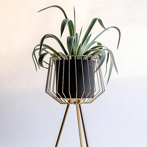 Plant <b>Pot</b> House Home Decor Modern Plant Flower <b>Holder</b> Rack Iron Gold Indoor Metal Flower <b>Pot</b> Planter <b>Pot</b> Stand for Plant - Product Image 1