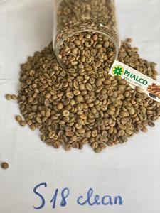 โรบัสต้าเมล็ดกาแฟสีเขียวจาก phalco เวียดนามราคาโรงงานบรรจุในถุงปอกระเจา0084339966582โทรศัพท์