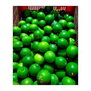 Limones y limas versátiles fabricados en Vietnam, Lima fresca/Lima verde natural de alta calidad - Product Image 1