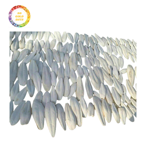 Hueso de sepia secado al sol limpio para accesorios de loros, uso educativo, artículos de decoración hechos a mano y acondicionamiento orgánico del suelo - Product Image 6