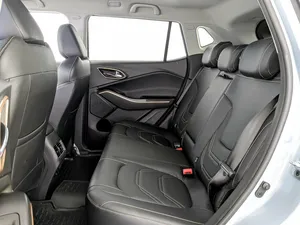 Cargador de Batería de Litio para Automóvil con Carga Rápida EV 2023 M 0 S K V I S H 3.e, NEDC - Product Image 2