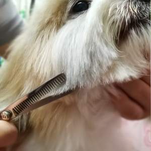 Juego de Tijeras de Peluquería Canina, Tijeras Veterinarias de Acero Inoxidable, Juego de 3 Tijeras para Cortar el Pelo de Mascotas con Peine - Product Image 5