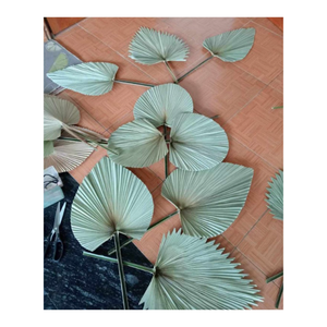 Abanico de hojas de palma de paja respetuoso con el medio ambiente de Vietnam, abanicos de bambú de colores para el verano 99GD de Vietnam, la mejor oferta - Product Image 4