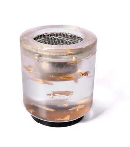 Quemador de Incienso Árabe de Bambú Ecológico de Alta Calidad, Regalo de Ramadán Mubarak, Regalo de Boda, Producto Religioso - Product Image 1