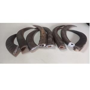 Puntas de cuerno de búfalo crudo de alta calidad, cuchillo, artesanías naturales hechas a mano, buenas de MooN Rise craft - Product Image 3