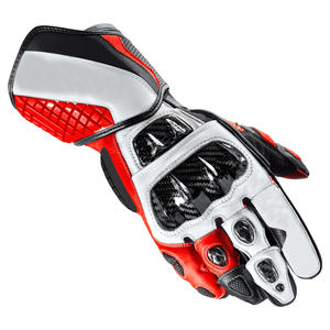 ถุงมือแข่งรถมอเตอร์ไซค์พร้อมสนับมือคาร์บอน - Product Image 2