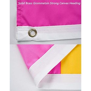 Drapeau de la fierté pansexuelle USA TOP FLAGSINC, lot de 10, 3x5 pieds - Drapeaux LGBTQ omnisexe aux couleurs vives, résistants à la décoloration, double couture - Product Image 3
