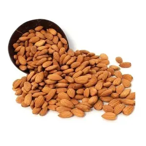 Best Quality Hot Sale Price California Almond Nuts