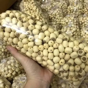 GRAINES DE LOTUS SÉCHÉES VIETNAMIENNES D'APPROVISIONNEMENT EN VRAC-HAUTE QUALITÉ ET MEILLEUR PRIX 2025 - Product Image 2