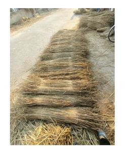 Vente en gros de matériaux de toiture en chaume et palmier pour la décoration de maison de style traditionnel du Vietnam - Product Image 3