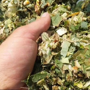 ENSILADO DE MAÍZ PRODUCIDO DE VIETNAM/LA MEJOR SOLUCIÓN PARA SU ANIMAL CON DIGESTIÓN/MEJOR PRECIO - Product Image 6