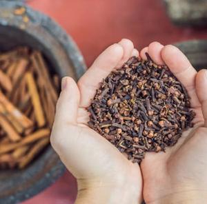 Clous de girofle entiers de qualité supérieure |   Arôme intense et riche en huile |   Exportateur en gros d'Inde - Product Image 5