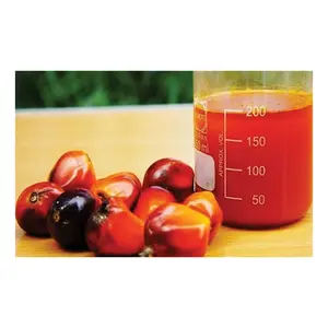 马来西亚制造的优质优质棕榈酸油 (SLB)