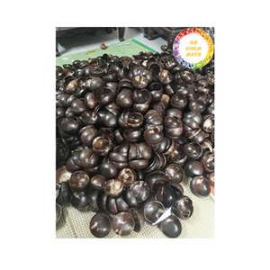 Bol en coquille de noix de coco noix de coco naturelle fabriquée à la main du Vietnam idéal pour servir des nouilles de riz fruits et bols décoratifs - Product Image 4