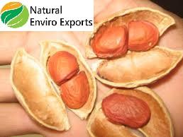 Aceite de semilla de Karanja orgánico puro en embalaje a granel extraído por semillas frescas utilizadas como aceite multiusos Aceite de semilla de Karanja - Product Image 5