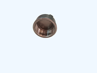 Tapa de Tubería de Acero Inoxidable Chico de Alta Calidad de 2-1/2 Pulgadas, 1 Año de Garantía, Embalaje Personalizado OEM/ODM, MOQ 100 Piezas para Diversas Industrias